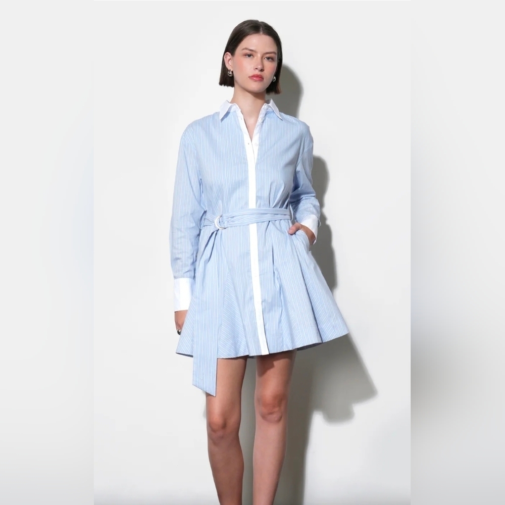 Greylin Blue Stripe Shirt Dress with Belt